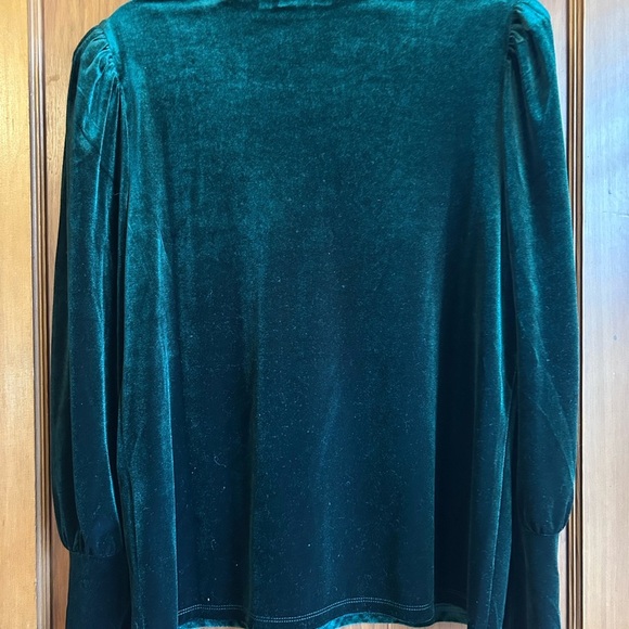 Chico’s Green Velvet Long Sleeve Top Size 1 - Picture 2 of 3